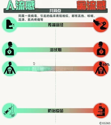 h7n9禽流感手抄报素材