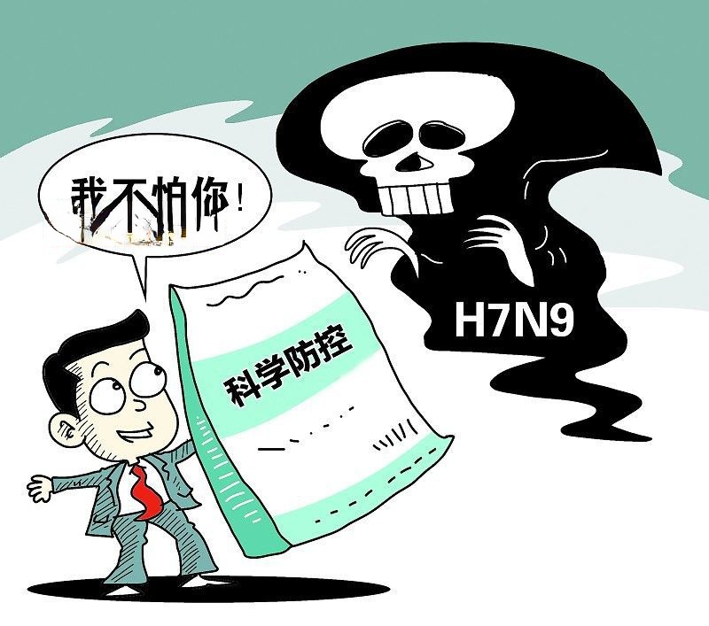 h7n9禽流感手抄报素材