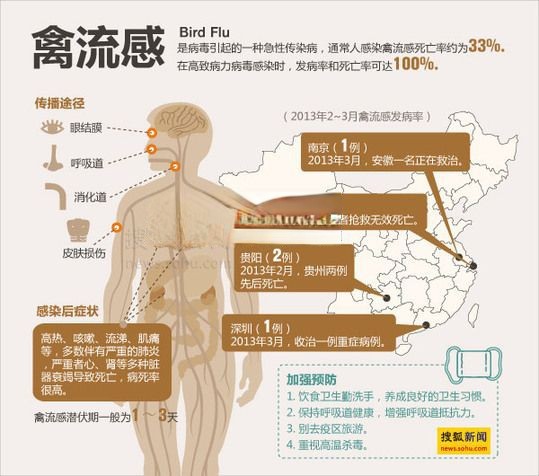 h7n9禽流感手抄报素材