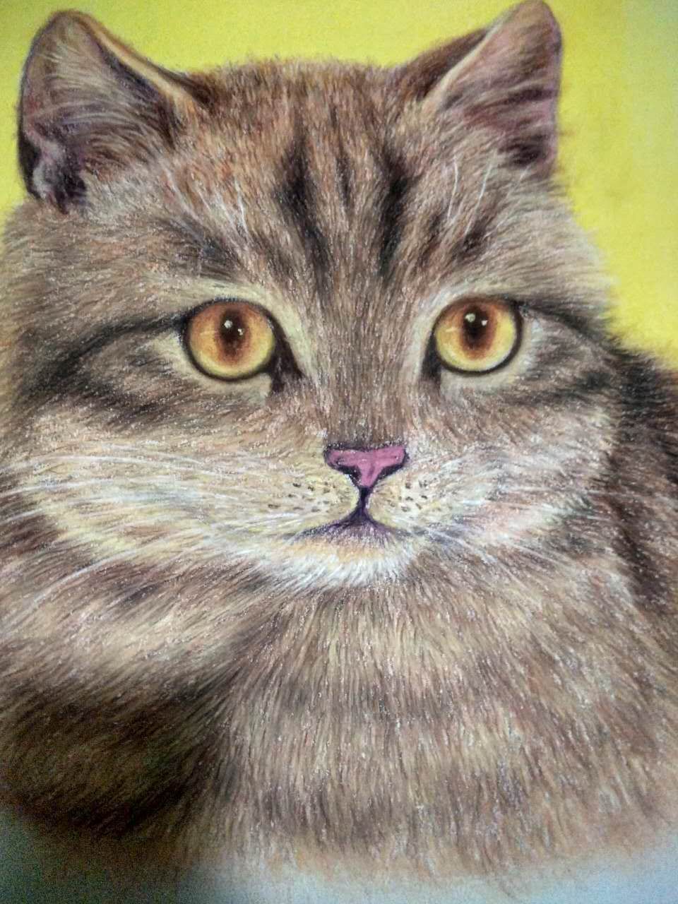 可爱的小猫粉笔画