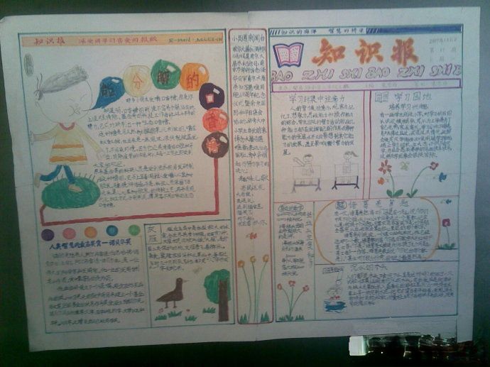 知识报手抄报版面设计图