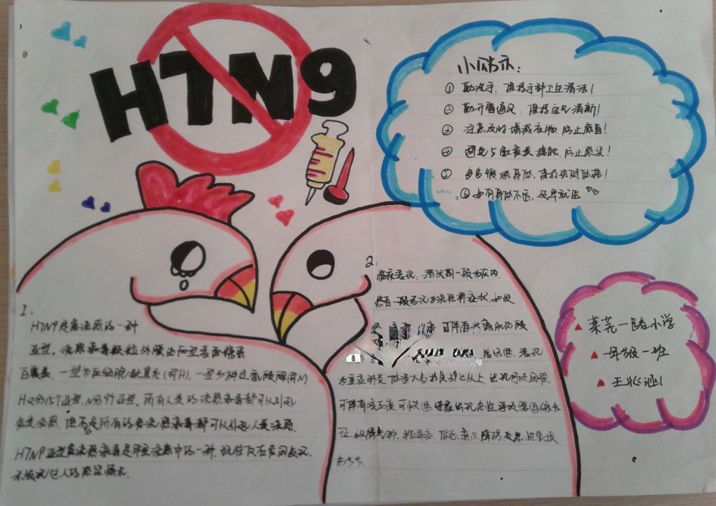 小学生H7N9手抄报大全