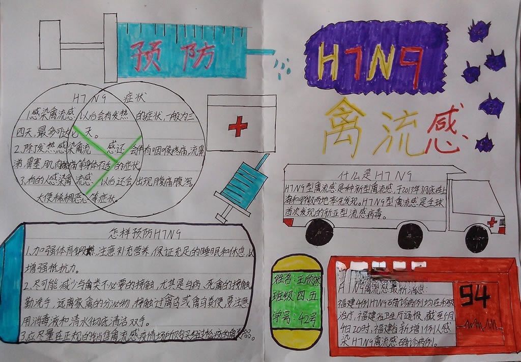 H7N9流感手抄报大全