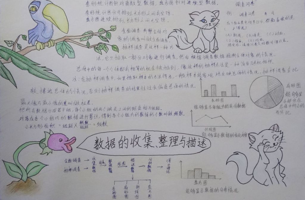 数据的收集整理与描述手抄报