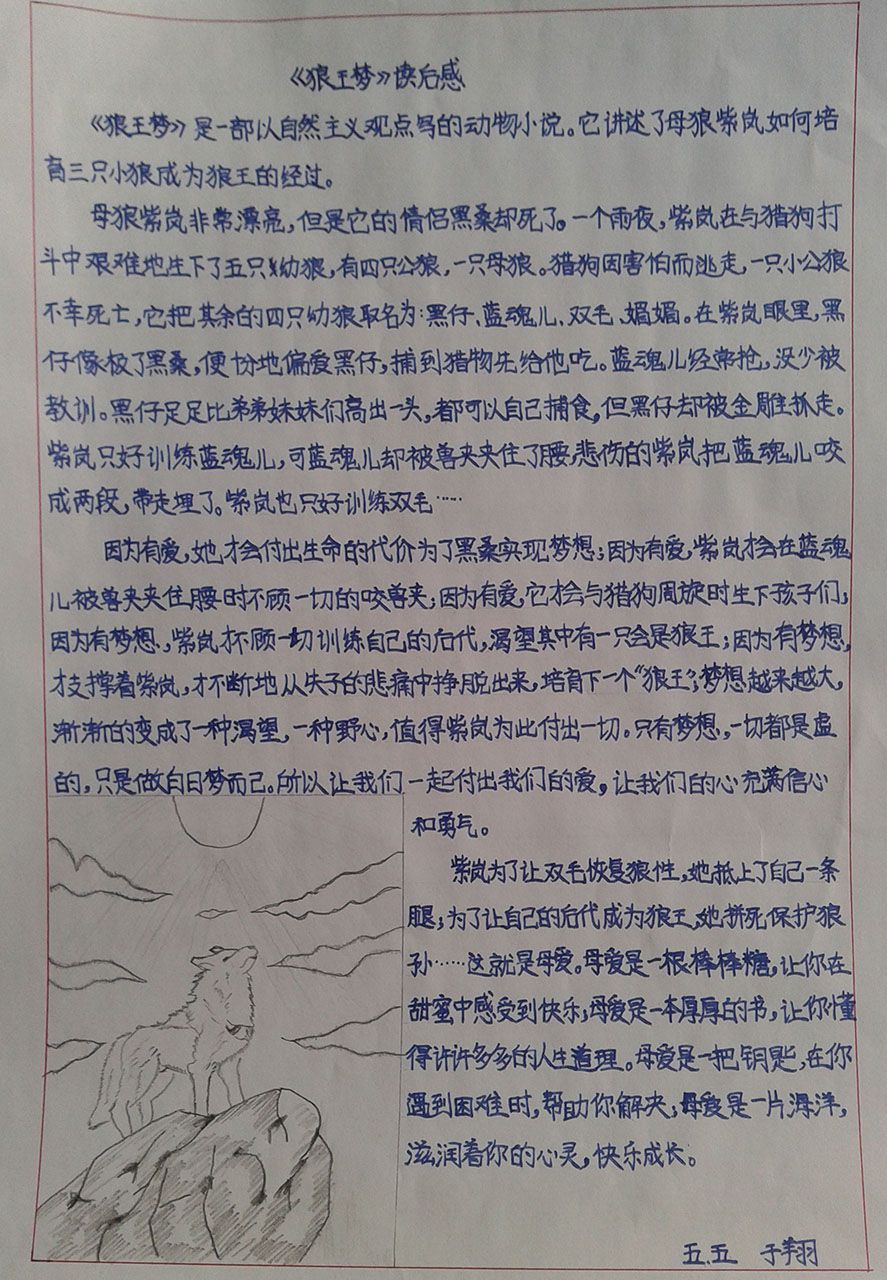 师生共读《狼王梦》手抄报