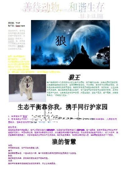 善待生物和谐生存手抄报