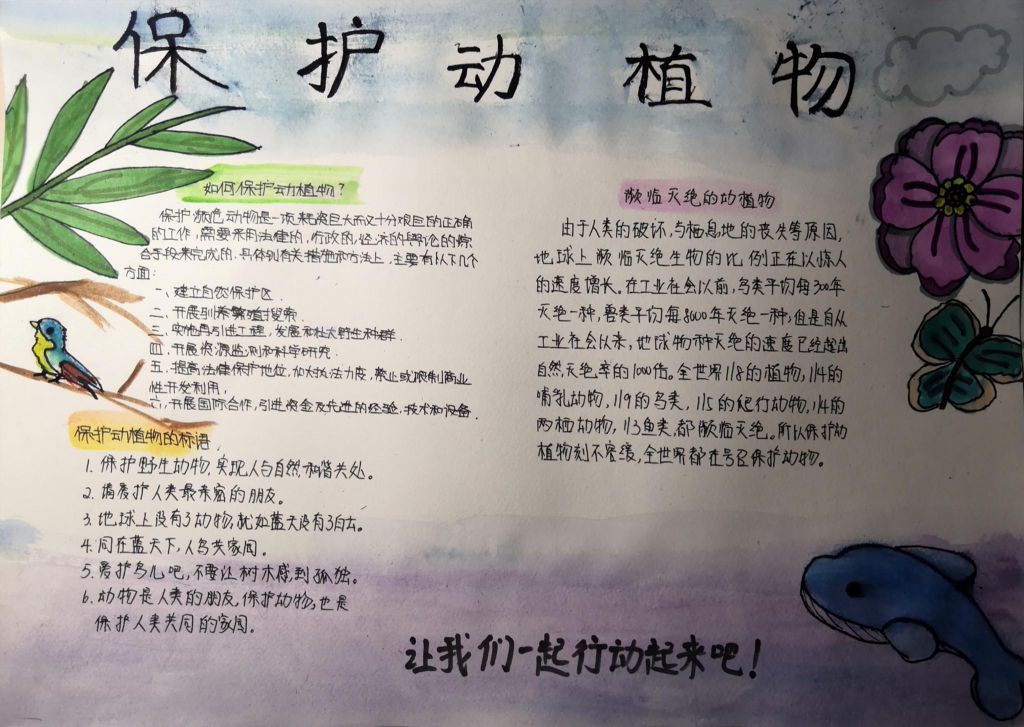 保护动植物手抄报图片，濒临灭绝的动植物