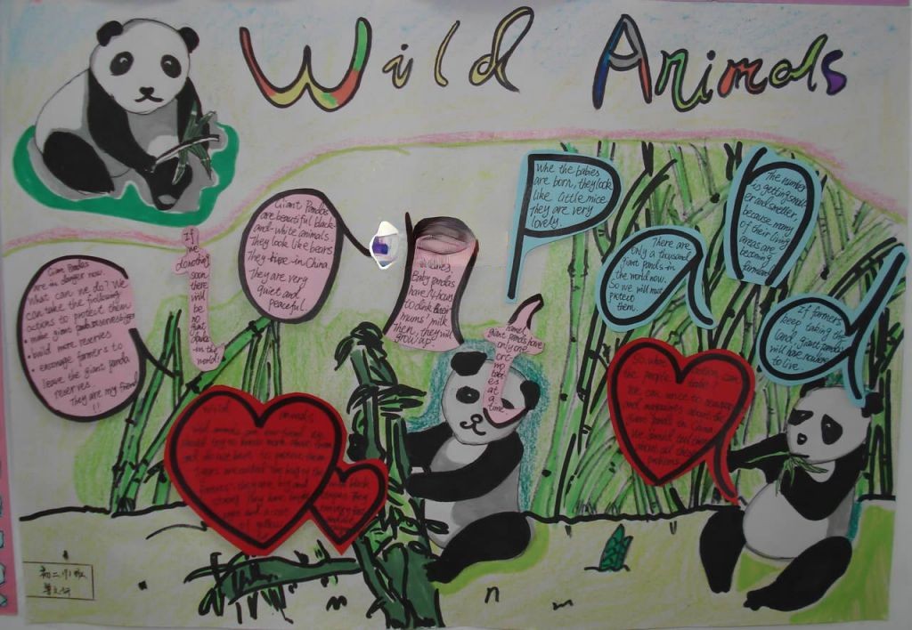 爱护动物英文小报：wild animds