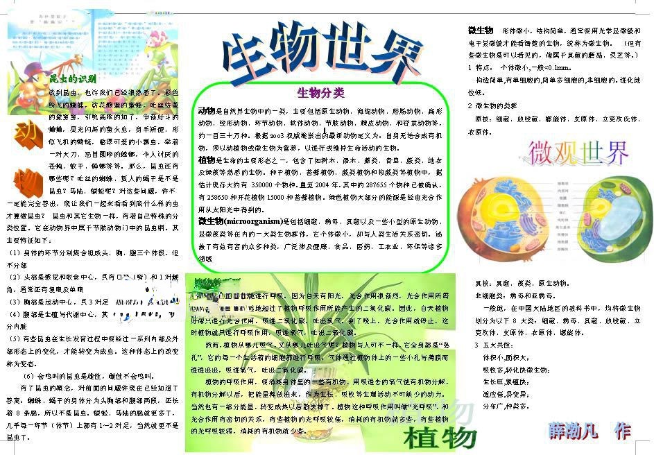 生物电子手抄报下载