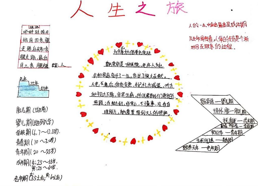 五年级科学手抄报图片，动物进化之旅