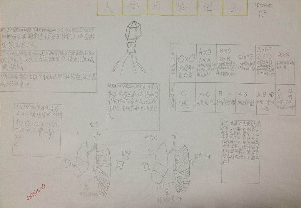 我的第一本科学漫画书手抄报