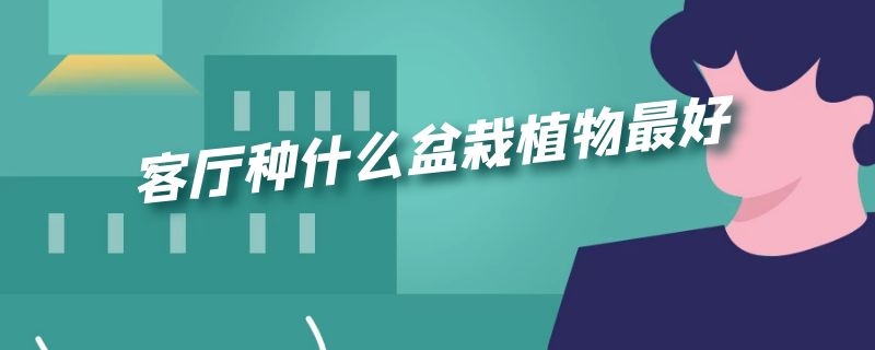 客厅种什么盆栽植物最好