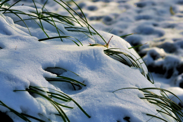 小雪节气的来历 小雪节气有哪些风俗