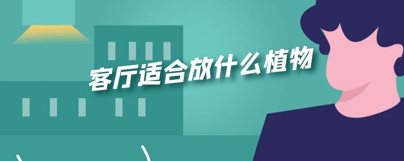 客厅适合放什么植物