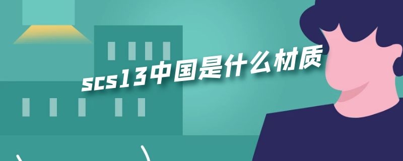 scs13中国是什么材质