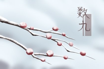 大雪这一天的农作物怎么照顾 南北方的农事差异