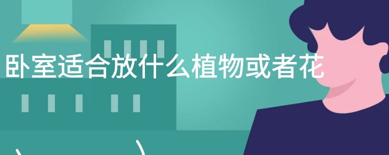 卧室适合放什么植物或者花