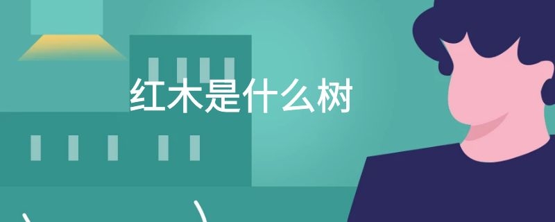 红木是什么树