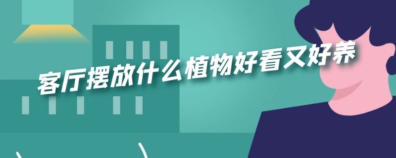 客厅摆放什么植物好看又好养