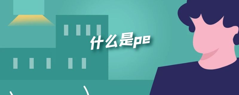 什么是pe