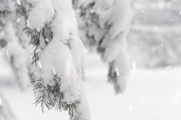 降雪是怎么形成的 降雪46小时通辽积雪深度破纪录