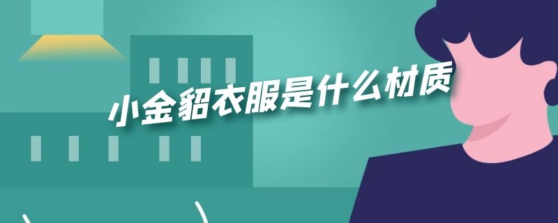 小金貂衣服是什么材质