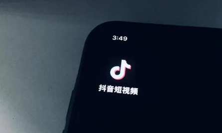 抖音再爱就不礼貌了啥梗什么意思3