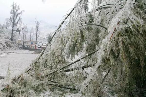 下雪要打伞吗 下雪要做什么准备