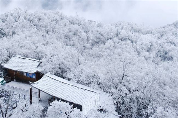 强寒潮是什么意思 强寒潮是在打脸全球变暖吗