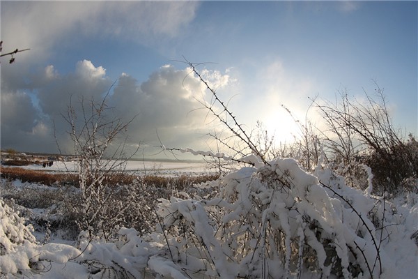 暴雪等级如何划分 暴雪会造成什么影响