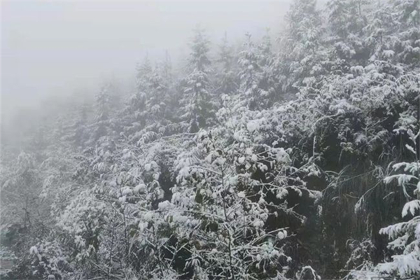 降雪的必要条件 降雪量的等级标准