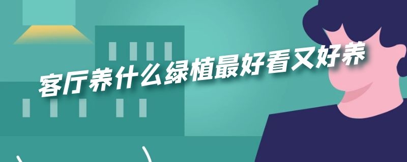 客厅养什么绿植最好看又好养