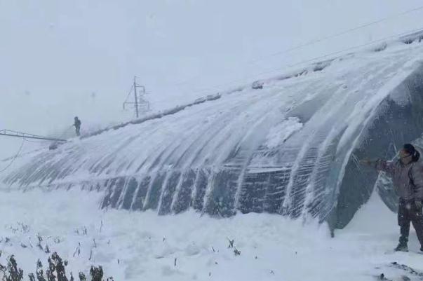 暴风雪的危害有哪些 极寒暴风雪冰封通辽