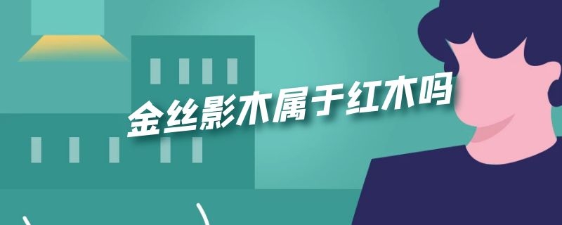 金丝影木属于红木吗