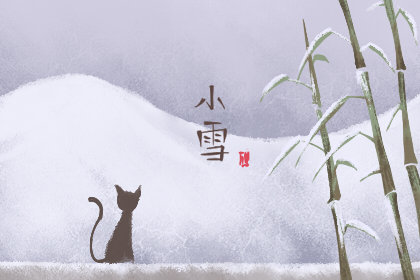 小雪吃什么蔬菜 功效和作用是哪些