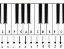 电子琴入门基础教程 了解一下1