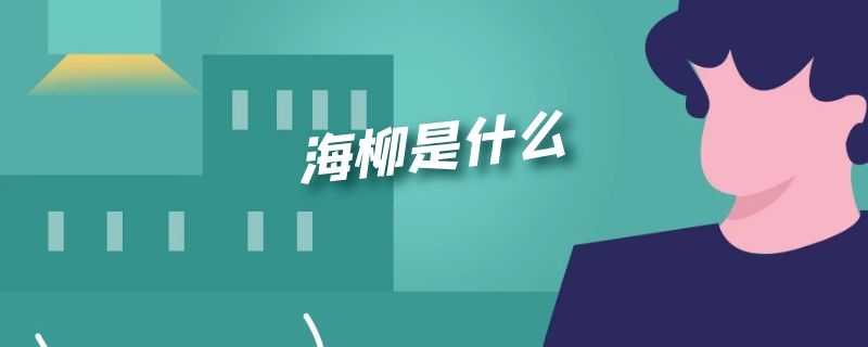 海柳是什么