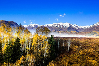 长沙重阳节吃什么