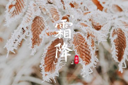 霜降到立冬这15天算什么节节气