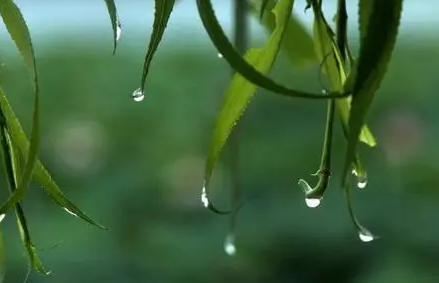 2022年南方梅雨季节是几月几号1