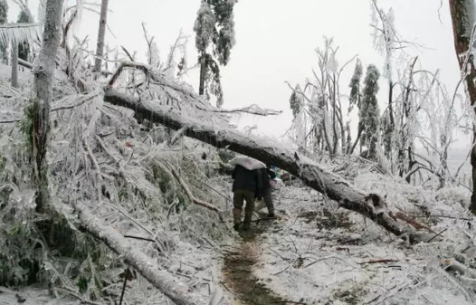 今年会和2008年一样出现冰雪灾害吗3