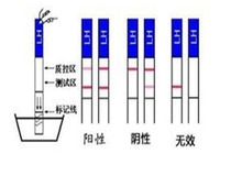 排卵试纸怎么使用1