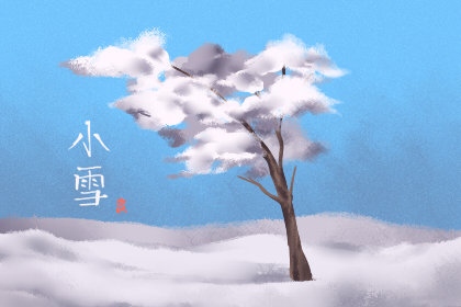 小雪吃什么蔬菜最好 这10种最合适