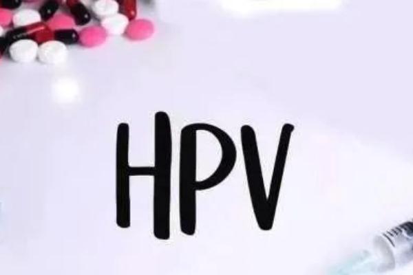 hpv疫苗的价位是多少 hpv疫苗打了多久不能怀孕