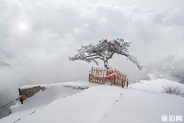 冬天应该去哪些地方看雪景