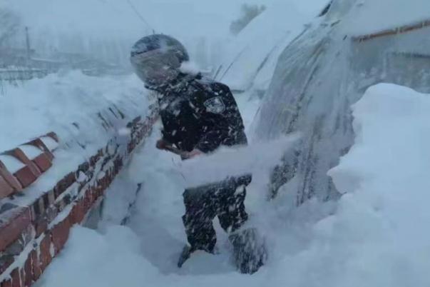 暴风雪的危害有哪些 极寒暴风雪冰封通辽