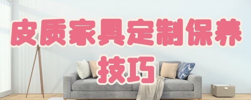 皮质家具定制保养技巧