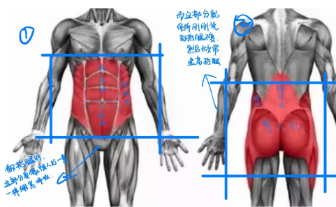 日常生活中需要收紧核心吗2