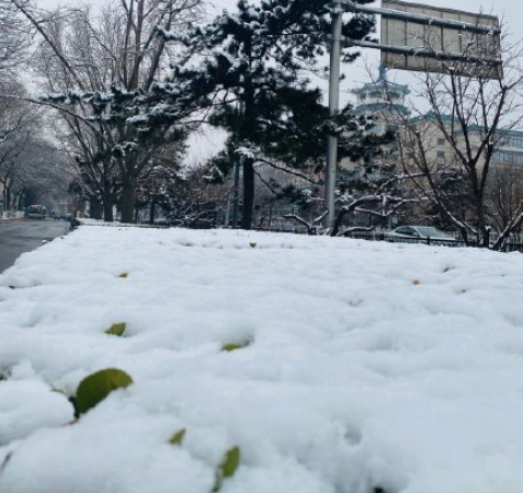 北京今夜有大雪局地暴雪吗3