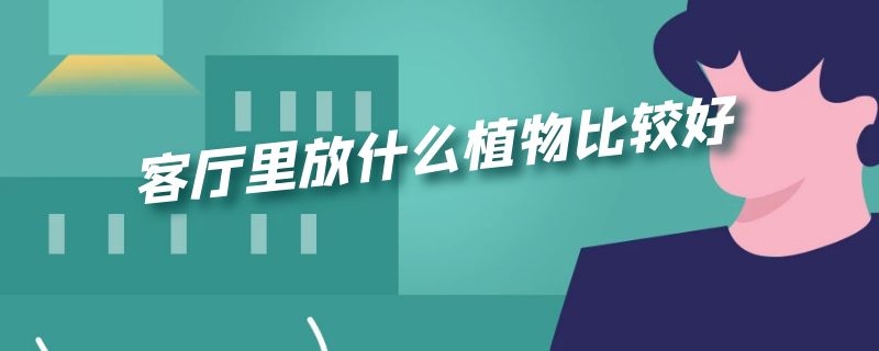 客厅里放什么植物比较好